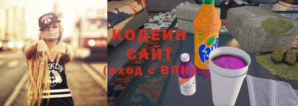 соль ск Пересвет