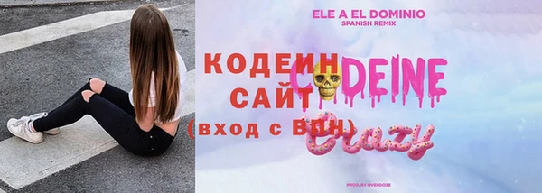 соль ск Пересвет
