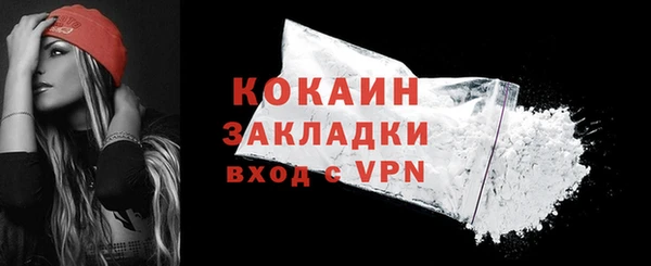 соль ск Пересвет