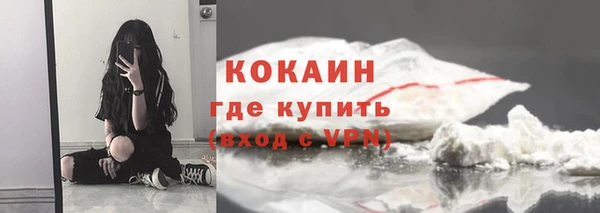 соль ск Пересвет