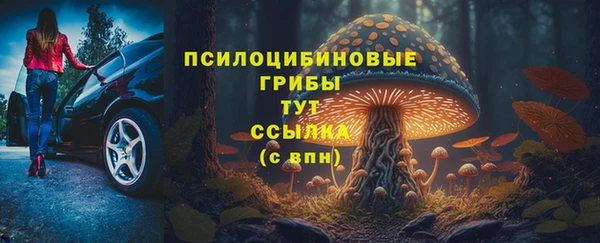 соль ск Пересвет