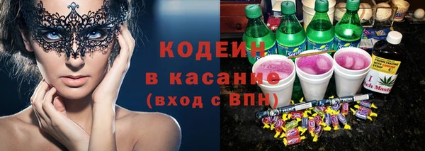 соль ск Пересвет