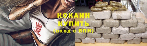 соль ск Пересвет