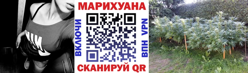 хочу   Баймак  Конопля гибрид 
